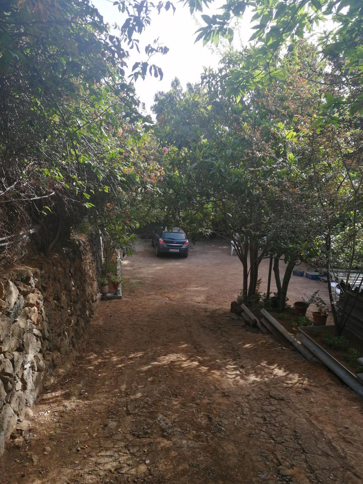 Casa Ecologica, Autosuficiente En Lomo Blanco, Dentro De Una Casa Rodeada De Naturaleza San Juan de la Rambla Kültér fotó