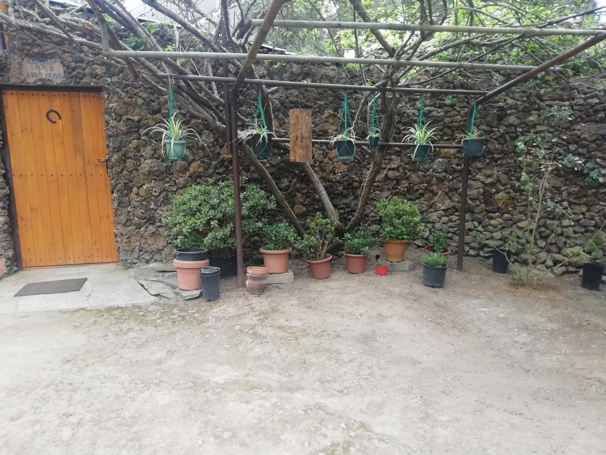 Casa Ecologica, Autosuficiente En Lomo Blanco, Dentro De Una Casa Rodeada De Naturaleza San Juan de la Rambla Kültér fotó